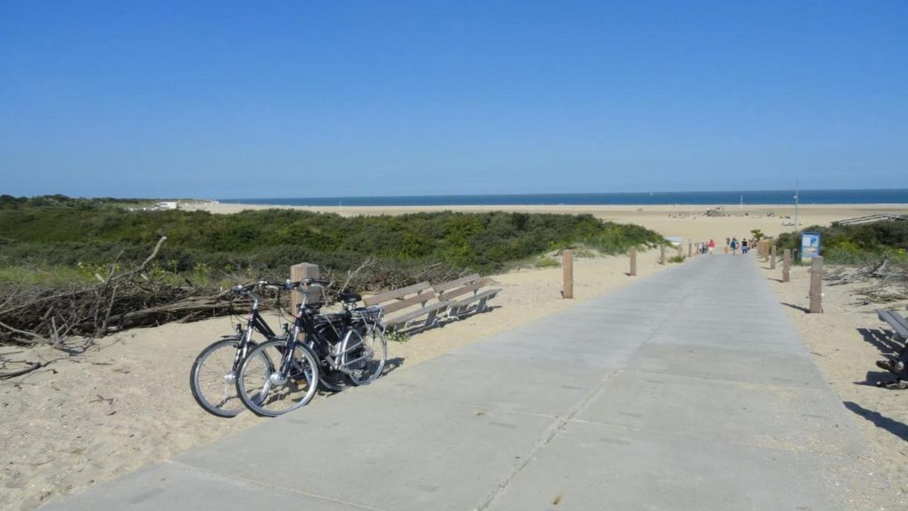 AreaSummer20KM AreaSummer20KM
